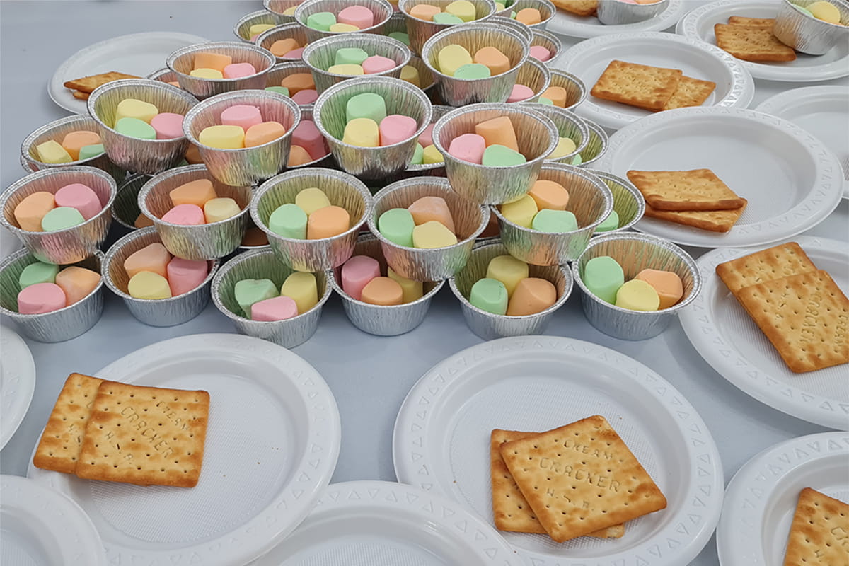 Rainbow Smores