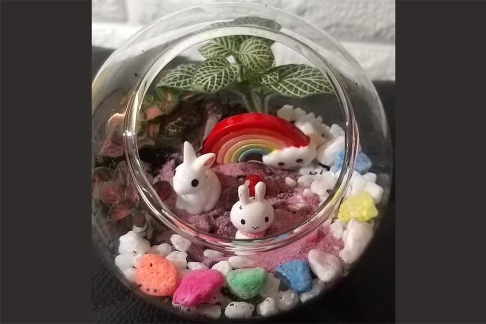 DIY Terrarium